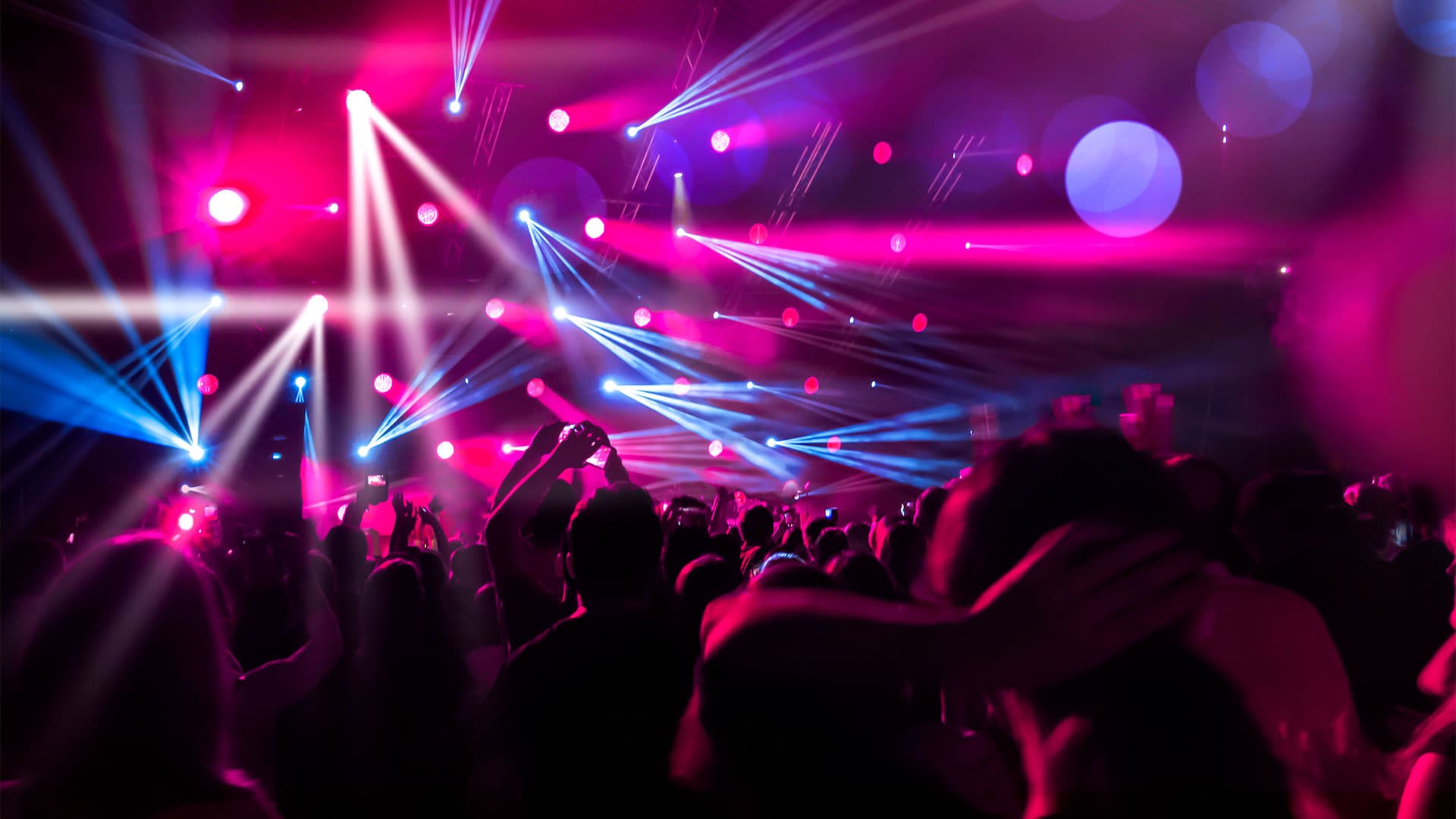 koncert5