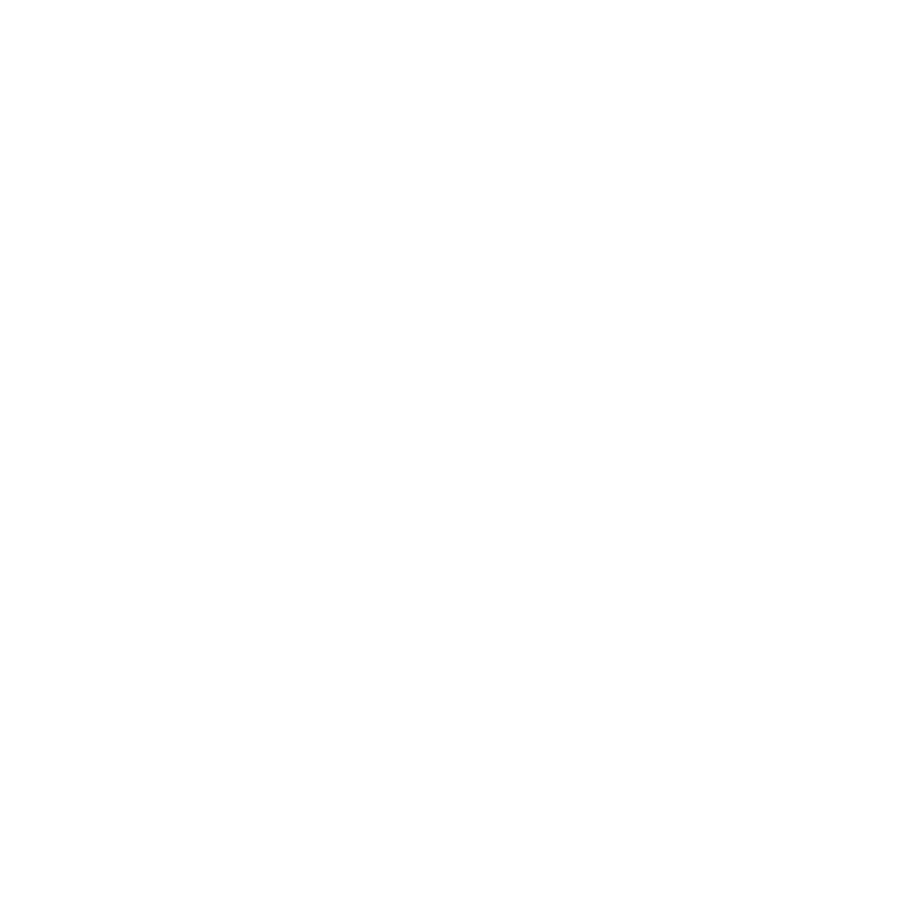 TicketNinja logó – vertical (fehér)