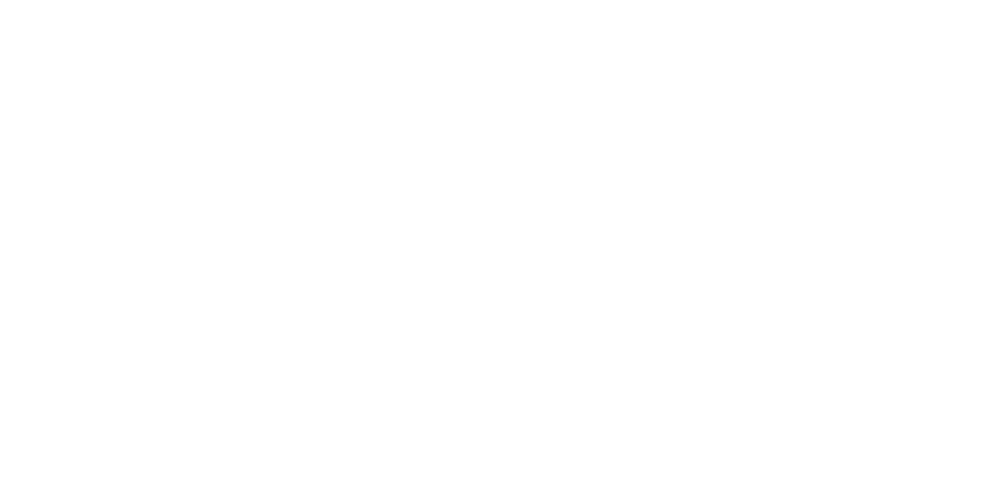 TicketNinja logó – horizontal (fehér)